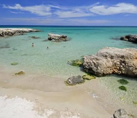 Dril Host 1 *