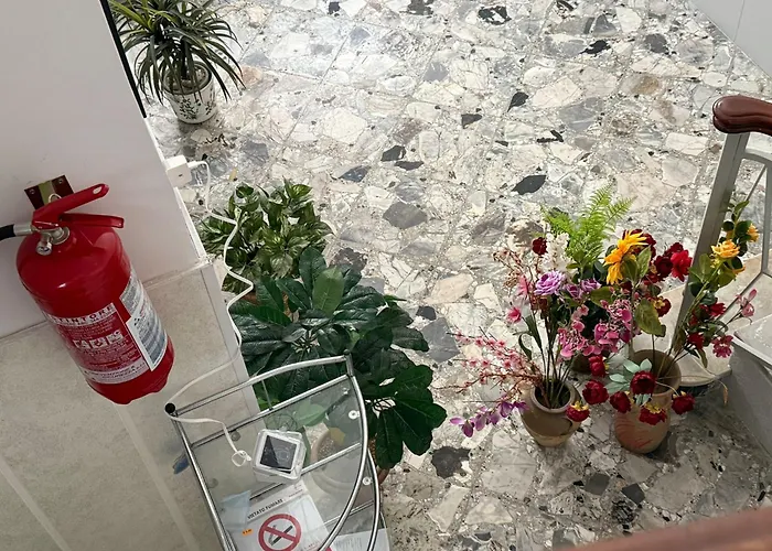 Tatil Evi Dril Host 1 *